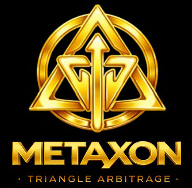 MetaXon Official Website Logo